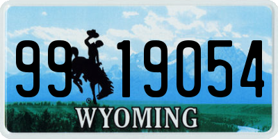 WY license plate 9919054