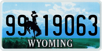 WY license plate 9919063