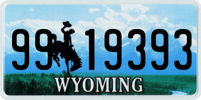 WY license plate 9919393