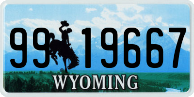 WY license plate 9919667
