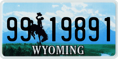 WY license plate 9919891