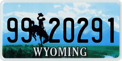 WY license plate 9920291