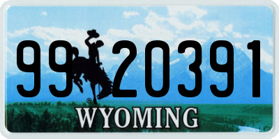 WY license plate 9920391
