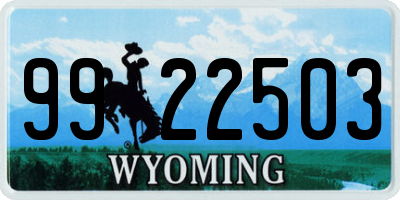WY license plate 9922503