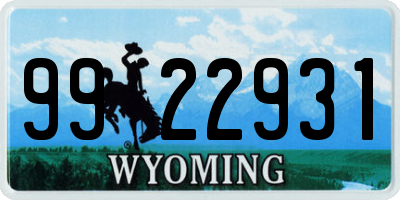 WY license plate 9922931