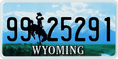 WY license plate 9925291