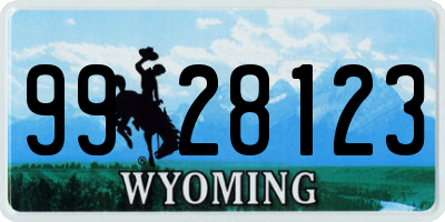 WY license plate 9928123