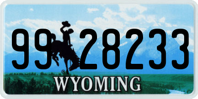WY license plate 9928233