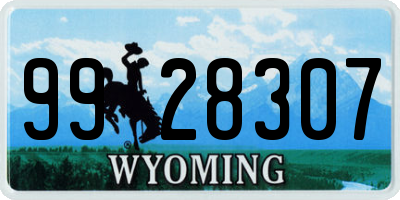 WY license plate 9928307