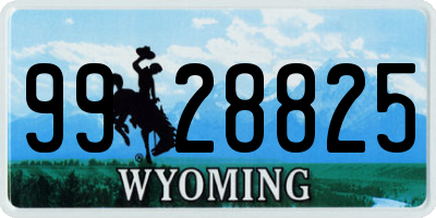 WY license plate 9928825