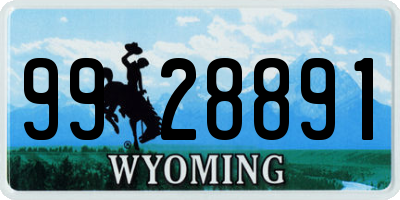 WY license plate 9928891