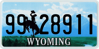 WY license plate 9928911