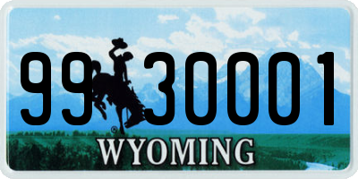 WY license plate 9930001