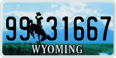 WY license plate 9931667