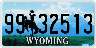 WY license plate 9932513