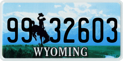 WY license plate 9932603