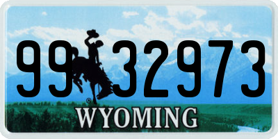 WY license plate 9932973