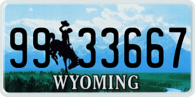 WY license plate 9933667