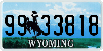 WY license plate 9933818
