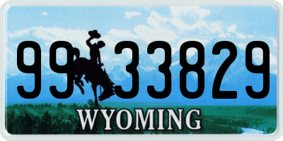 WY license plate 9933829