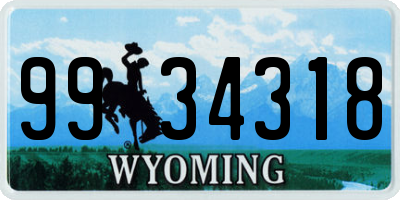 WY license plate 9934318