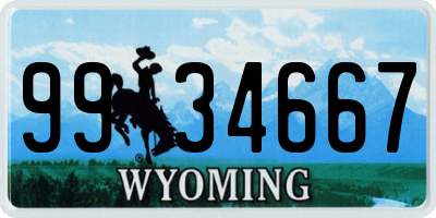 WY license plate 9934667