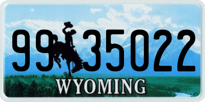 WY license plate 9935022