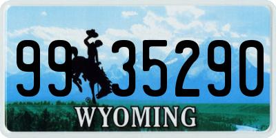 WY license plate 9935290