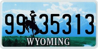 WY license plate 9935313