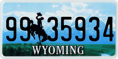 WY license plate 9935934
