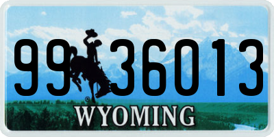 WY license plate 9936013