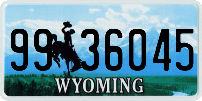 WY license plate 9936045