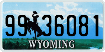WY license plate 9936081