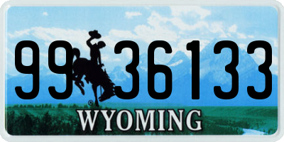 WY license plate 9936133