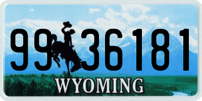 WY license plate 9936181