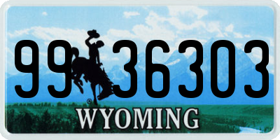 WY license plate 9936303