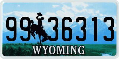 WY license plate 9936313