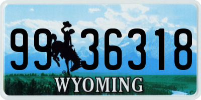 WY license plate 9936318