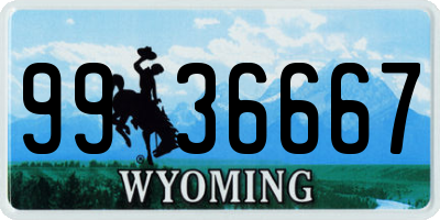 WY license plate 9936667