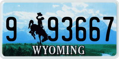WY license plate 993667