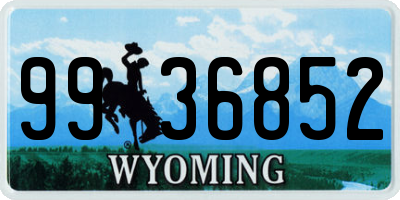 WY license plate 9936852