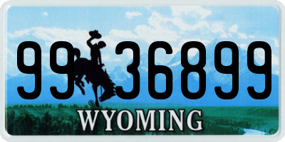 WY license plate 9936899