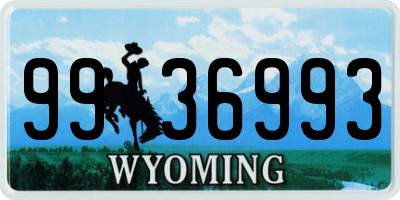 WY license plate 9936993