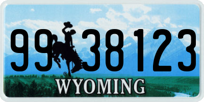 WY license plate 9938123