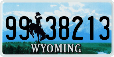 WY license plate 9938213