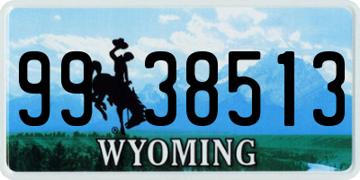 WY license plate 9938513