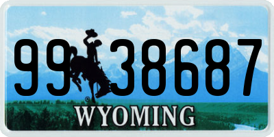 WY license plate 9938687