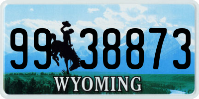 WY license plate 9938873