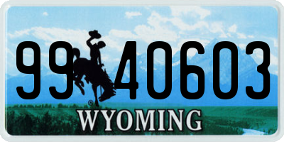 WY license plate 9940603