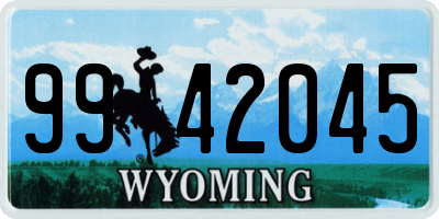 WY license plate 9942045
